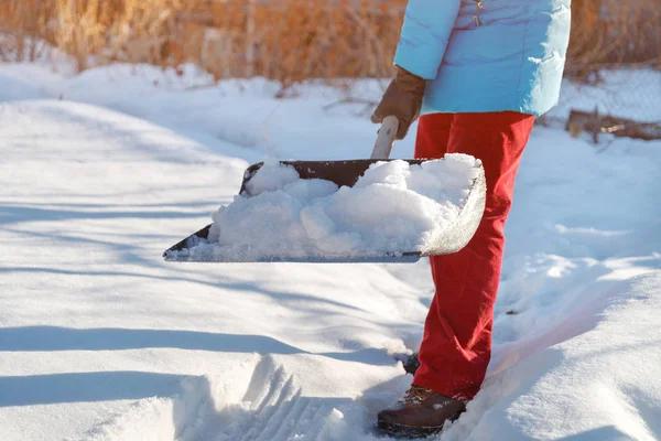 Expert Guide to Fast and Reliable tree on roof removal