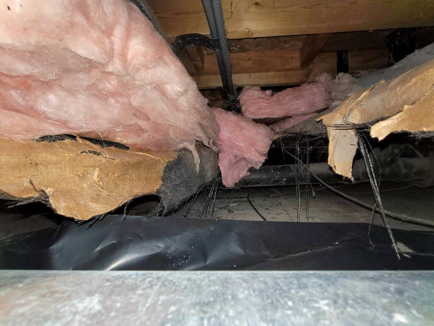 Improve Your Home with a Reliable Local Crawlspace Company