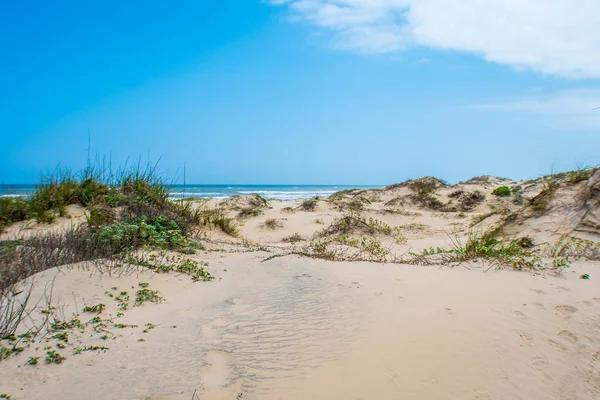 Exclusive Rentals in South Padre Island With Premium Amenities