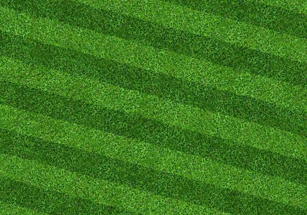 Everything to Expect from TurfMark Outdoor Solutions Buford Lawn Experts